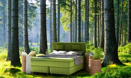 Ecolife Beds: het eerste 100% vegan beddenmerk van Nederland