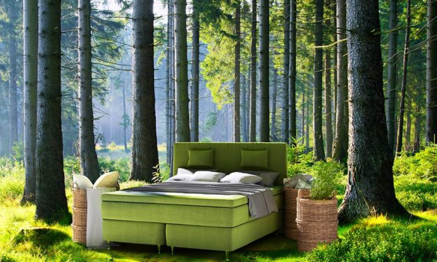 Ecolife Beds: het eerste 100% vegan beddenmerk van Nederland