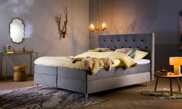 Nieuw meubelmerk geïnspireerd door poolgebied zet in op betaalbaarheid, comfort en design